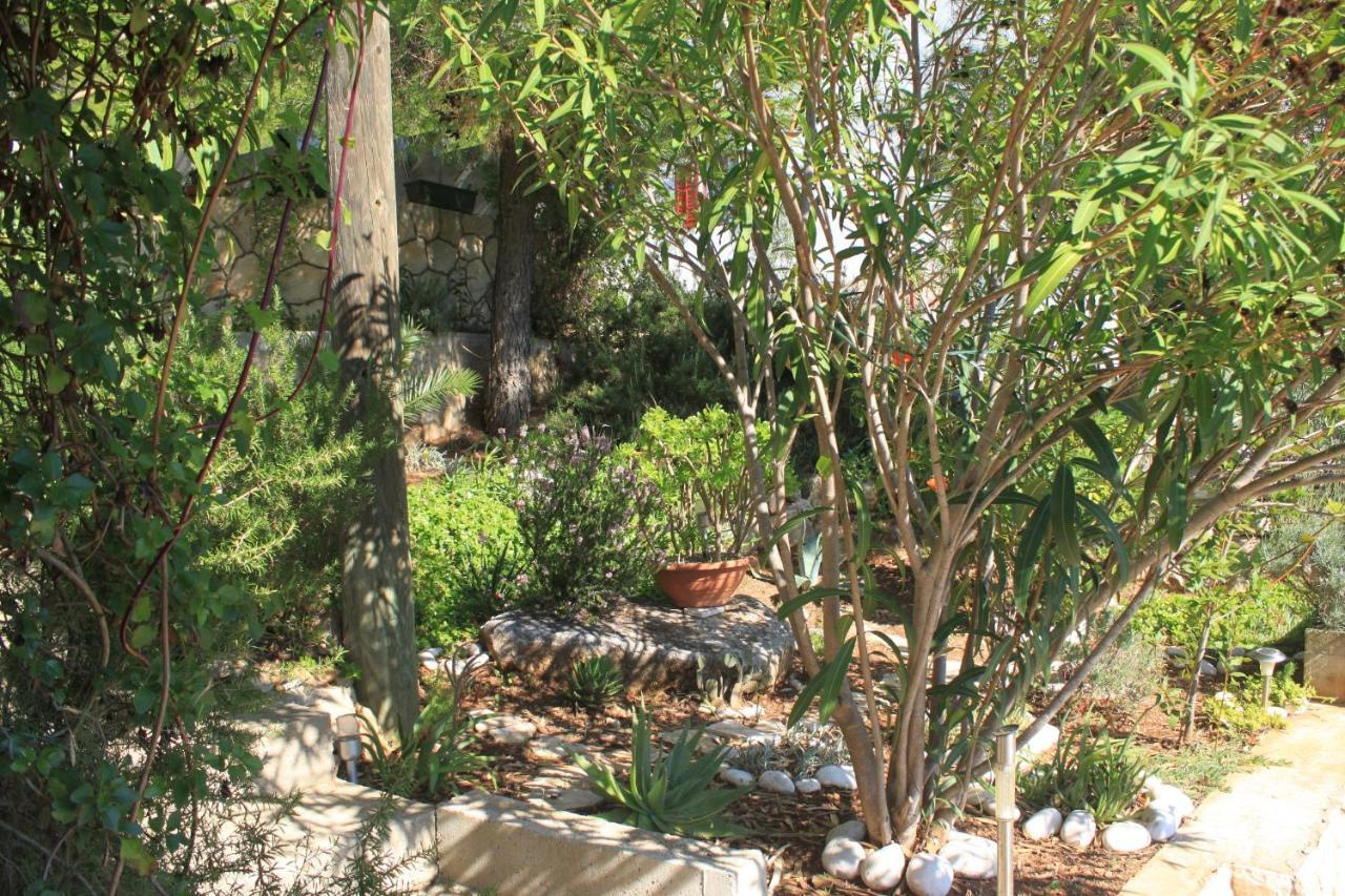 Apartments With A Parking Space Rukavac, Vis - 2444 Rukavac  Bagian luar foto